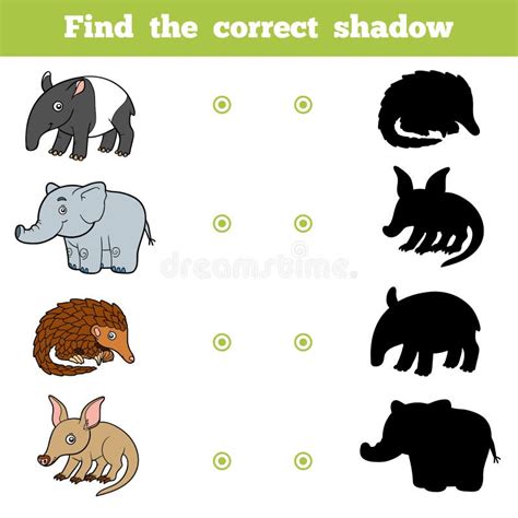 Find the Correct Shadow, Game for Children. Set of Animals Stock Vector ...