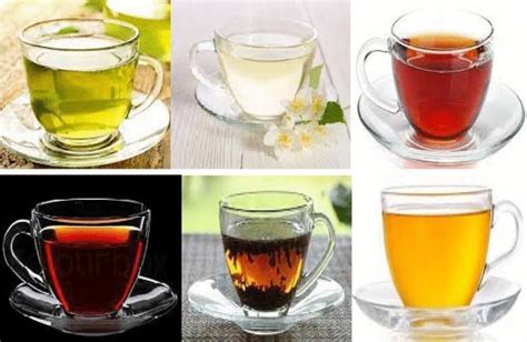 The Various Types Of Tea - Leidsa