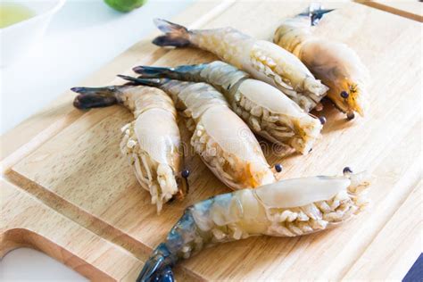 Fresh Shrimp Shrimp River Stock Photo Image Of Ingredient 100484340