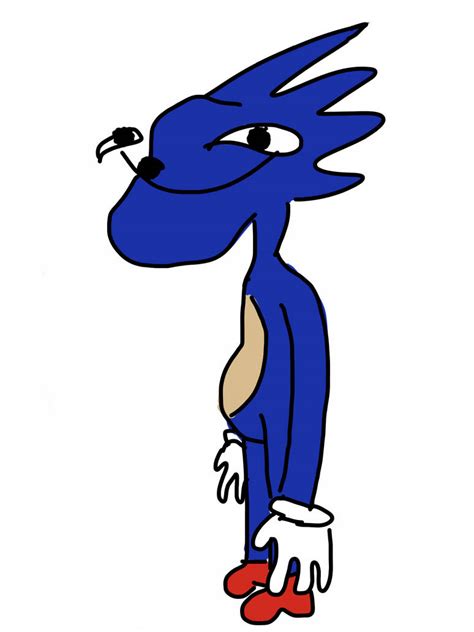 Sanic Goes Fast By Ecoking13 On Deviantart