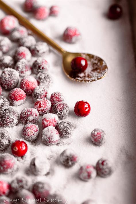 Sugared Cranberries Recipe Baker Street Society Recipe Sugared Cranberries Cranberry