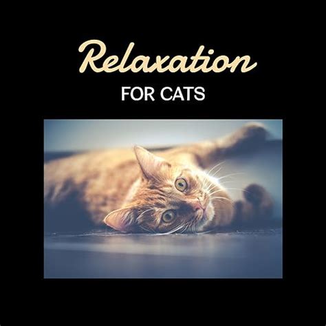 Relaxation for Cats – Soothing Music for Pets, Deep Trance. Relax Your ...