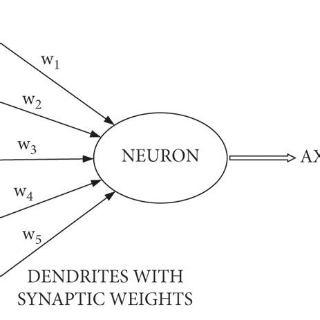 Biological neural network and artificial neural network [19 ... 