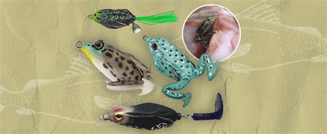 8 Best Frog Lures For Bass Fishing FindyourFish