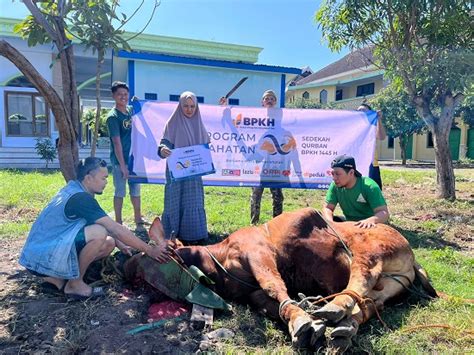 Sedekah Kurban H Bpkh Distribusikan Hewan Kurban Ke Seluruh