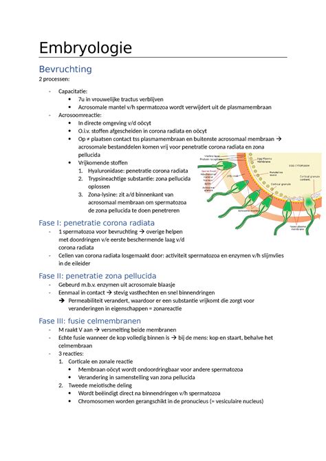 Embryologie Samenvatting Cytologie Histologie Embryologie