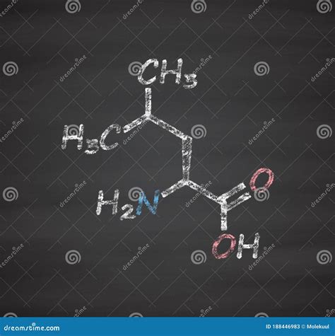 Leucine L Leucine Leu L Amino Acid Molecule Stock Illustration