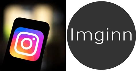 What is Imginn? All About Anonymous Instagram Viewer and Downloader - Picuki