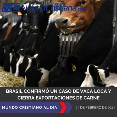 Brasil confirmó un caso de vaca loca y cierra exportaciones de carne by