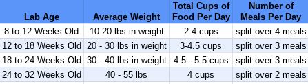 Labrador Puppy Feeding Chart