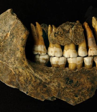 When did the last Neanderthal die? New study changes the timeline