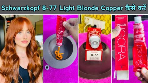 Schwarzkopf Igora 8 77 Light Blonde Copper Hair Colour कस कर