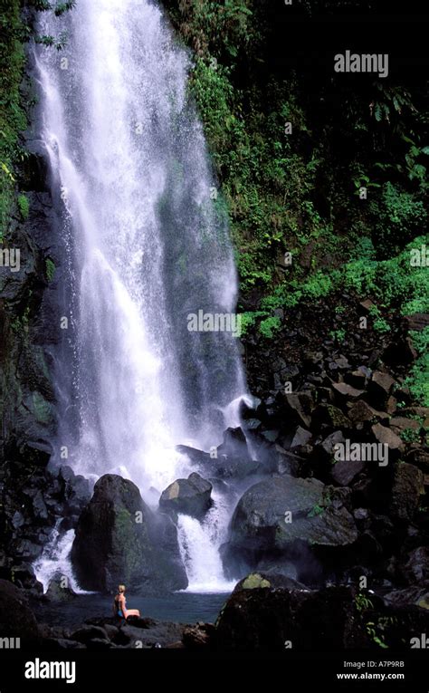 Dominica, central area, Trafalgar Falls Stock Photo - Alamy