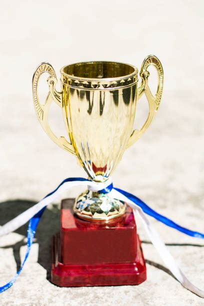 10+ Calder Memorial Trophy Photos Stock Photos, Pictures & Royalty-Free ...