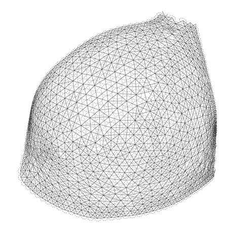 N12 3D Printed Bikini By Continuum Fashion And Shapeways Dezeen