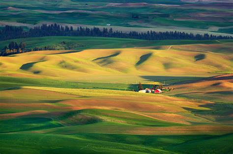 Nature Photography Fields Palouse