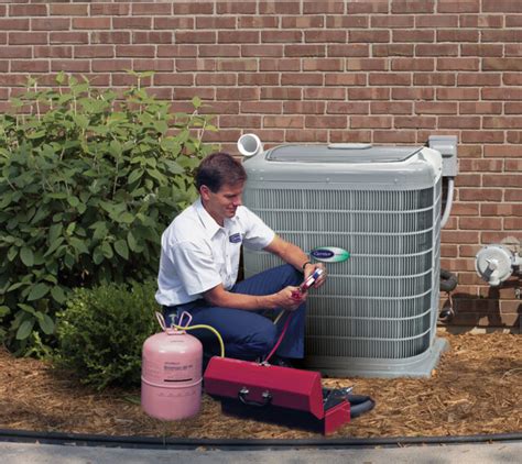 Landscaping Ideas For Around Your Ac Unit Reimer Home Services