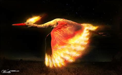 Moltres - Pokémon Photo (30180660) - Fanpop