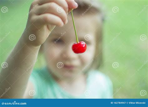 Little Girl Hold Red Cherry Stock Image Image Of Food Light 162784947