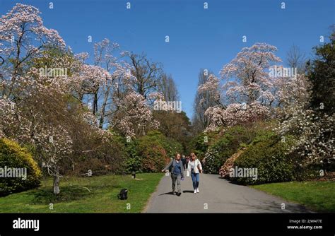 Glorious Sunshine And A Burst Of Spring Colour Greeted Visitors Tio