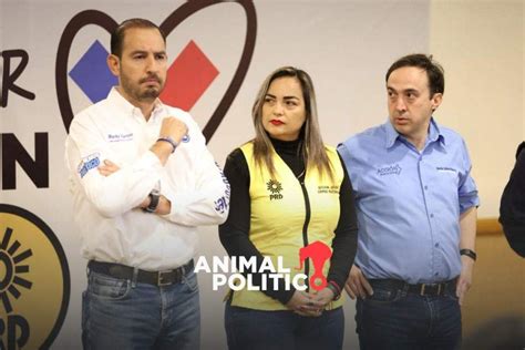 Instituto Electoral De Nuevo León Separa Al Pan De La Coalición Con Pri