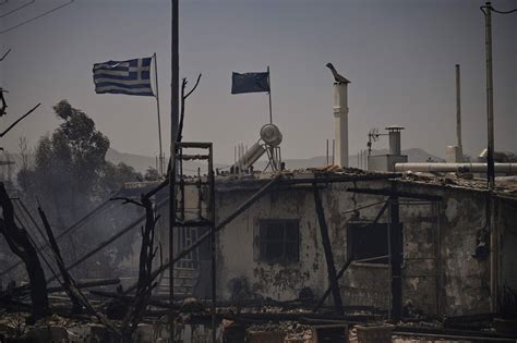 Charred devastation of Greece wildfires laid bare in apocalyptic ...