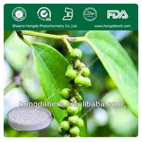 Herbal Black Pepper Extract Piperine 99 China Hongda Price Supplier 21food