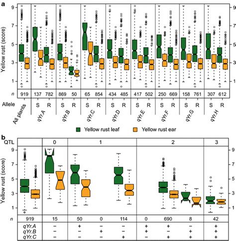 Aboxplots Showing Yellow Rust Resistance For Genotypes Carrying