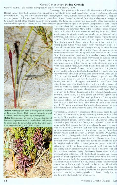 Victoria S Cryptic Orchids Nhbs Field Guides Natural History