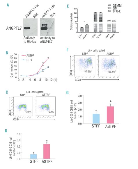 Effects Of Angptl On Human Hematopoietic Stem And Progenitor Cells