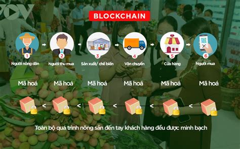 Ứng dụng Blockchain trong nông nghiệp Từ câu chuyện vải thiều Thanh Hà