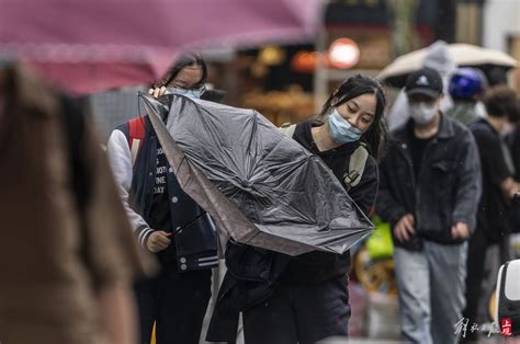 实拍！申城风雨来袭街头伞花飞舞 路人百态——上海热线