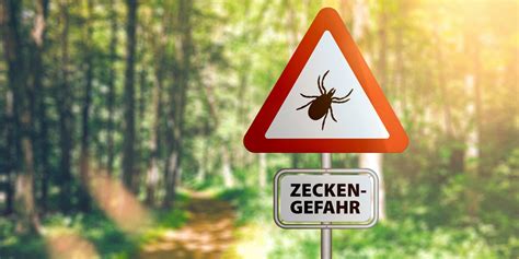 Zecken Impfung Gegen Borreliose M Glich Heilpraxis