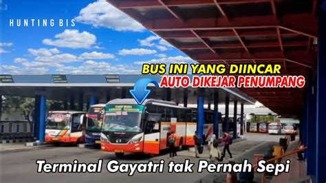 Hunting Bus Di Terminal Gayatri Siang Hari Bus Nya Sepi Yang Bener