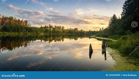 Sommerabendlandschaft Auf Ural See Mit Kiefern Auf Dem Ufer Russland