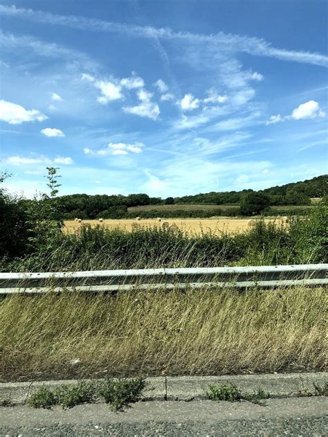 A Field With Tall Grass And Blue Sky In The Background Along Side A Road