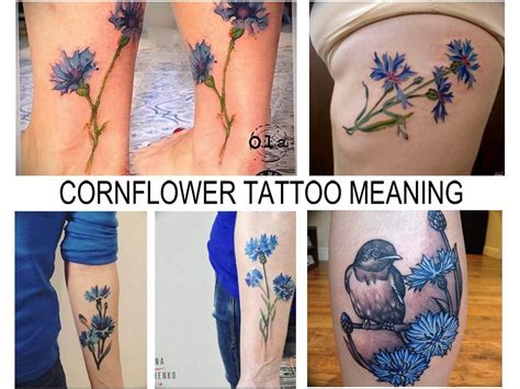 Cornflower Tattoo Meaning History Features Photo Drawings Sketches