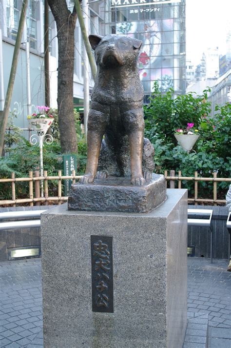 🐕 Hachiko Statue – Tokyo’s Most Loyal Dog - Japan3clicknavi.com