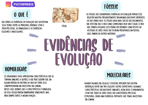 101Evidências de Evolução Enem