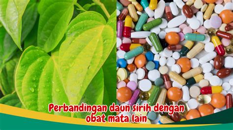 Meningkatkan Kejernihan Dan Penglihatan Mata Temukan Manfaat Luar