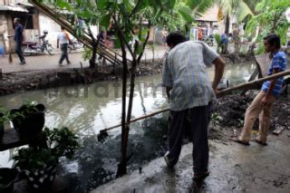 Membersihkan Sampah Di Jalan Lestari Kelapa Gading Datatempo