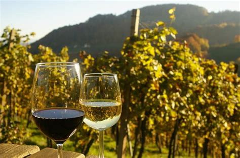 The Best Vienna Wine Tours Tastings With Photos Tripadvisor