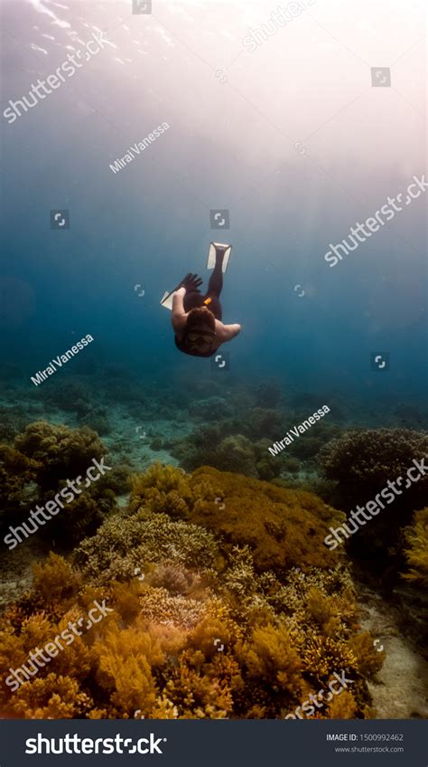 Sexy Girl Wearing Bikini Freediving Down Foto De Stock 1500992462