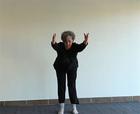 Le BA DUAN JIN En Images Esprit Qigong