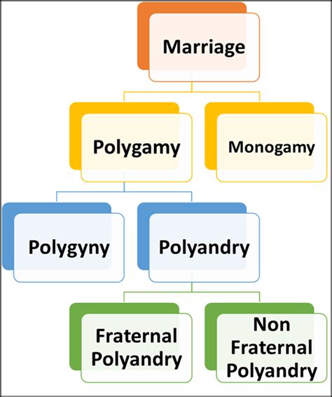 Marriage Definition History Types Customs Laws Facts 54 Off