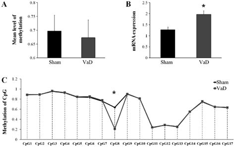 Analysis Of The Vegfa Promoter Region A Dna Methylation And B