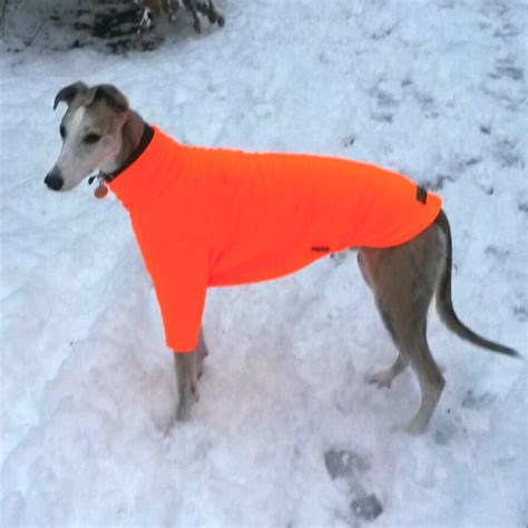 Polartec Fleece Dog Jumper Rainproof Breathable Warm And Washable