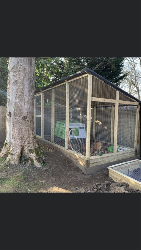 Chickens Backyard Farming Ideas