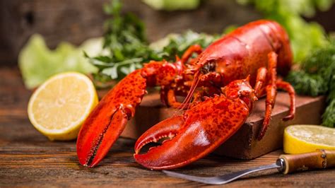 11 Chain Restaurants That Serve The Best Lobster, According To Customers