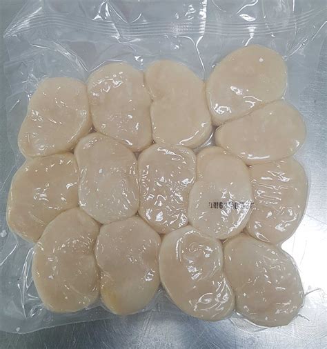 Frozen Penshell Scallop Meat 500g Tradekorea